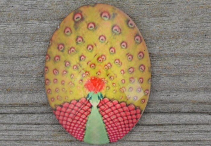 046177 Kaboszon z żywicy z obrazkiem 40*30mm paw żółty