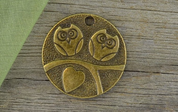 107126 Zawieszka mała moneta zakochane sowy w kolorze brązu