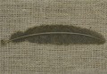 [17173] Zakładka do książki piórko w kolorze brązu 