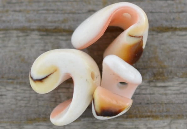  90929 Koralik z masy perłowej muszelka 8mm kremowo morelowa