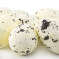 [w11810] Jajka styropianowe nakrapiane 18x25mm kremowe 50szt