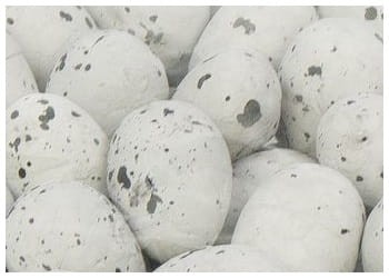 [w11807] Jajka styropianowe nakrapiane 18x25mm szare 50szt