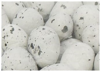 [w11807] Jajka styropianowe nakrapiane 18x25mm szare 50szt