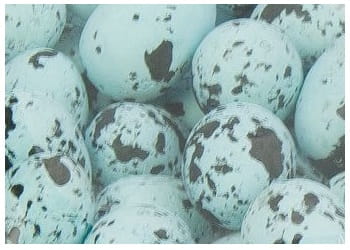 [w11808] Jajka styropianowe nakrapiane 18x25mm niebieskie 50szt