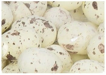 [w11810] Jajka styropianowe nakrapiane 18x25mm kremowe 50szt