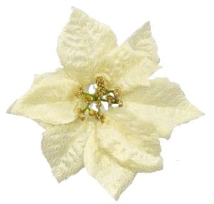 Poinsecja główka 15cm kremowa metalik