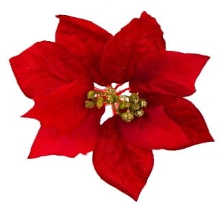 Poinsecja główka 15cm czerwona zamsz