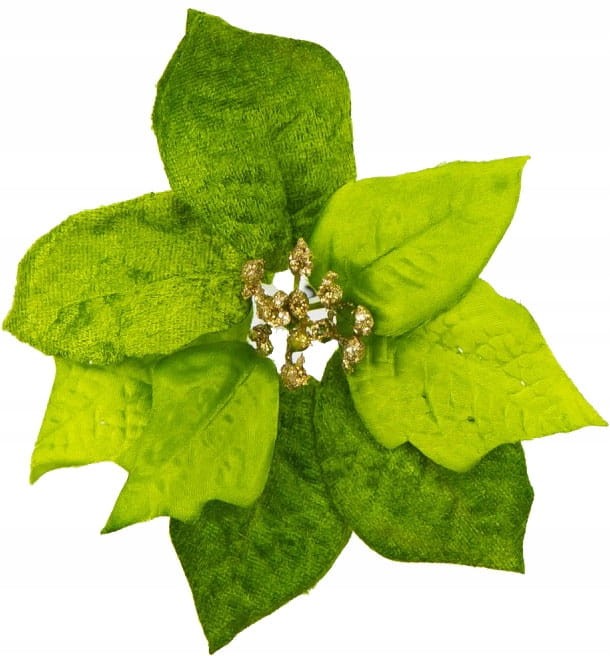 Poinsecja główka 15cm zielona zamsz