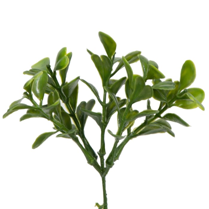 [w0201] Gałązka bukszpanu mała 6 odnóżek