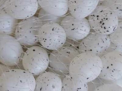 [w0321] Jajka plastikowe w siatce 2cm białe