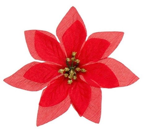 [680130] Poinsecja główka czerwona 12cm 2szt