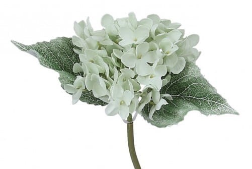 [608222] Gałązka kwiatowa hortensja miętowa