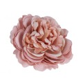 roza-wyrobowa-kameliowa-pudrowa-op-50szt-69112-79d52e78.jpg