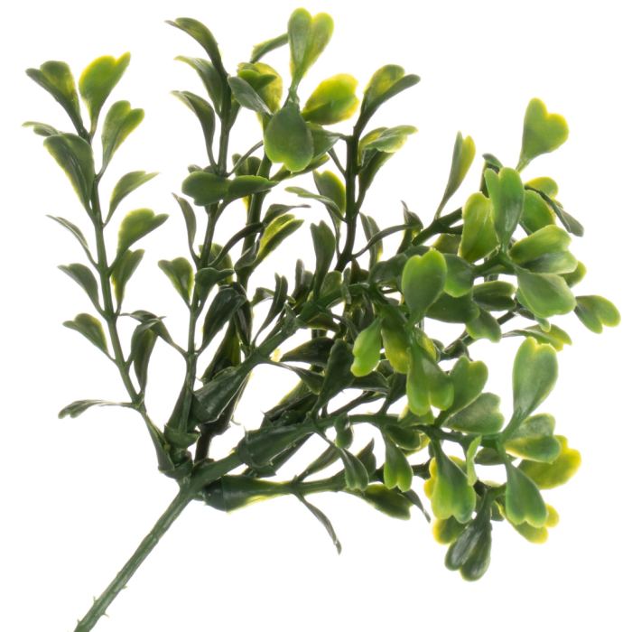 [w0451] Gałązka bukszpanu mała 10 odnóżek