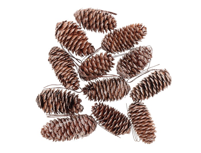 [59020] Szyszki sosnowe na druciku ośnieżone 12szt