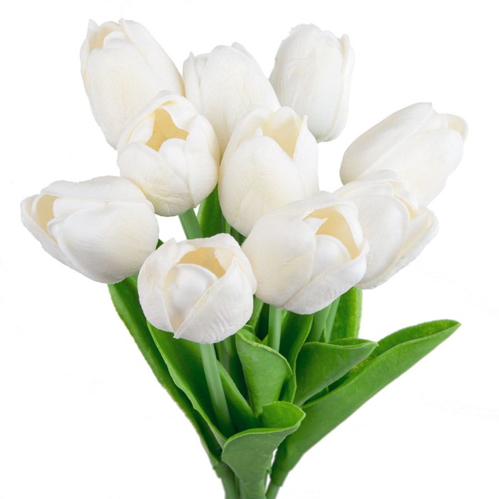 [w0476] Bukiet tulipanów 10 kwiatów biały 34cm
