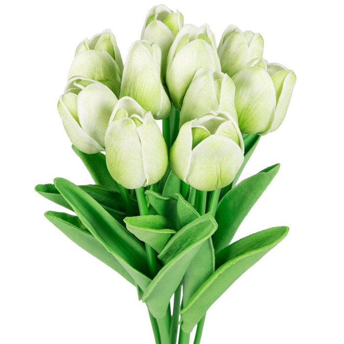 [w0477] Bukiet tulipanów 10 kwiatów pistacjowy 34cm