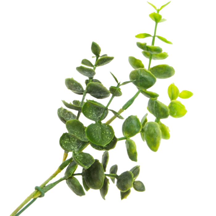 [680457] Gałązka eukaliptusa zielona kilka odnóżek 26cm