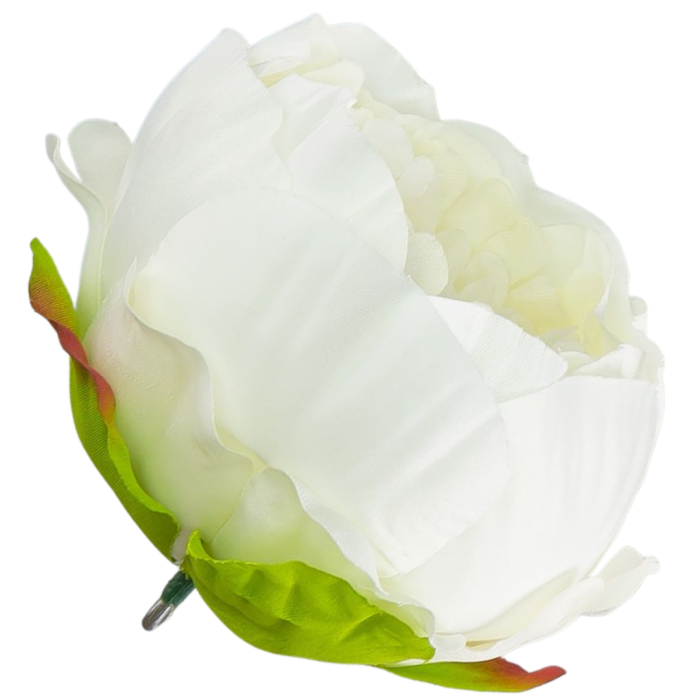 [w0352] Główka kwiatowa peonia duża 9cm kremowa