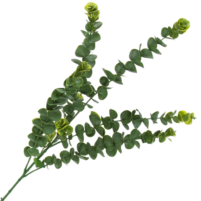 [680473] Gałązka eukaliptus długi 81cm ciemnozielony