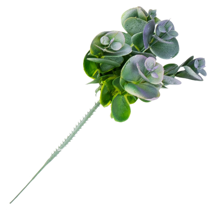 [680476] Gałązka eukaliptus fioletowozielony mały 20cm