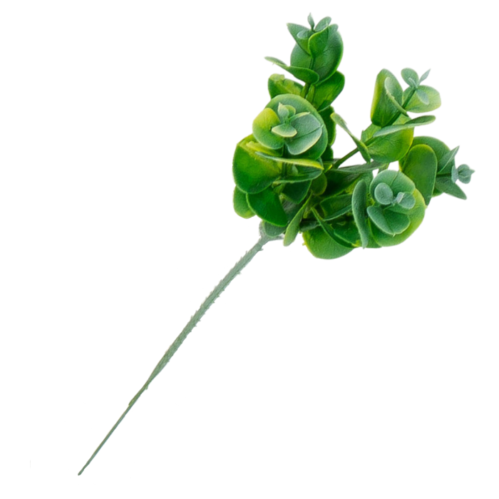 [680475] Gałązka eukaliptus szarozielony mały 20cm