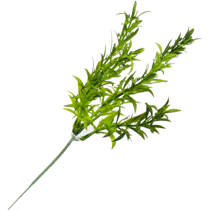 [680483] Gałązka asparagus gruby ciemnozielony 28cm