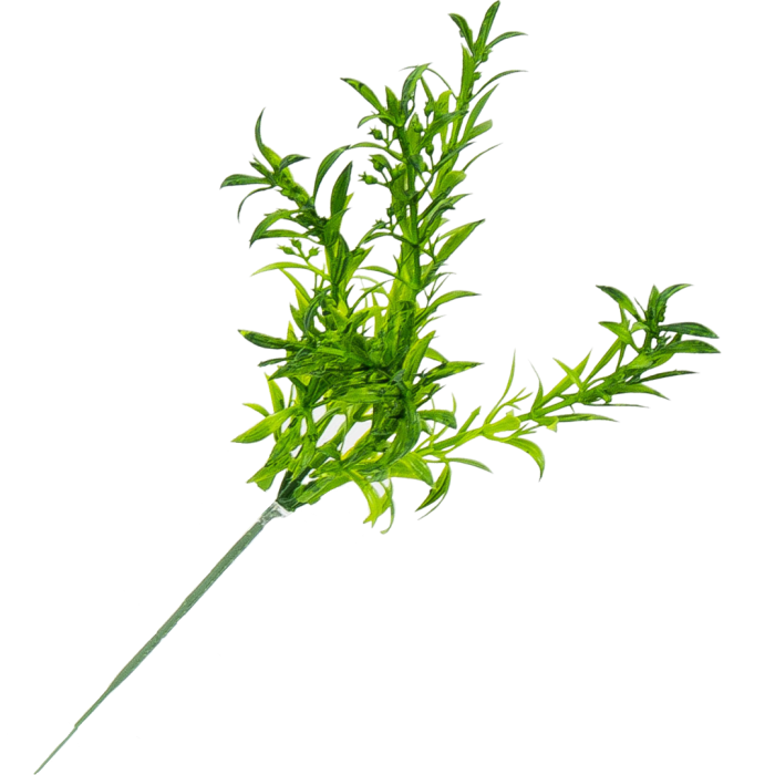 [680482] Gałązka asparagus gruby zielony 28cm