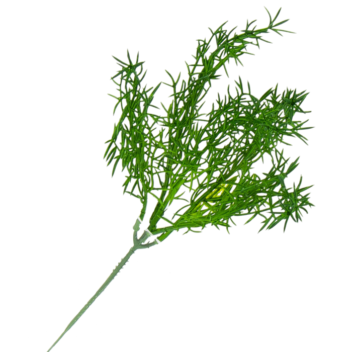 [680477] Gałązka asparagus zielony mały 30cm