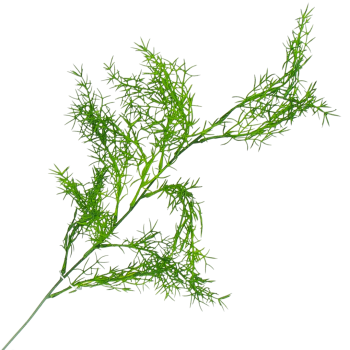 [680478] Gałązka asparagus zielony duży 64cm