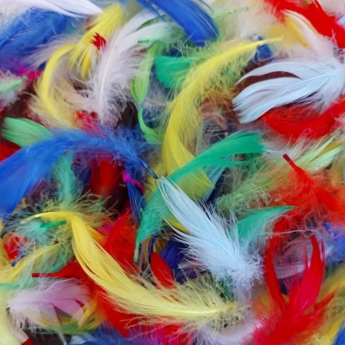 [55237] Piórka dekoracyjne mix wiosenny 190 sztuk