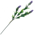 [680491] Gałązka lawendy zielono-fioletowa 65cm