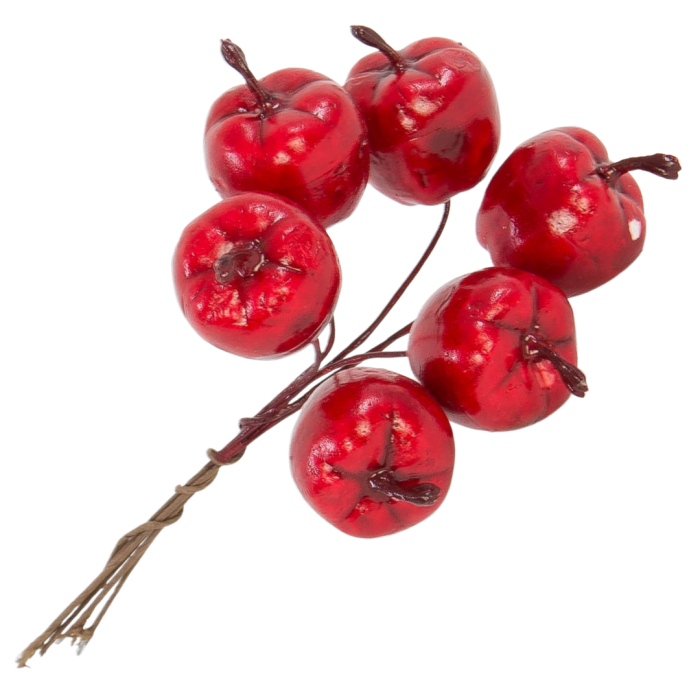 [05xy3401] Jabłuszka na druciku 6szt czerwone