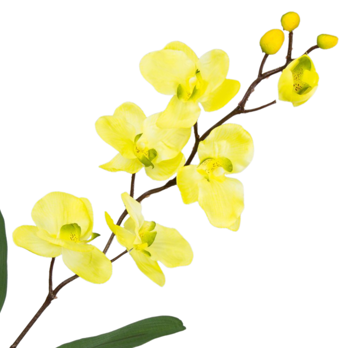[w0402] Storczyk satynowy gałązka 75cm żółty