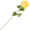 [w0522] Róża na gałązce 47cm miodowa