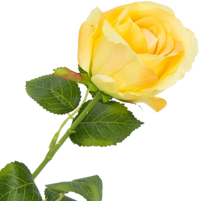 [w0522] Róża na gałązce 47cm miodowa