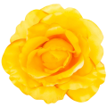 [w0533] Główka kwiatowa róża duża 20cm żółta cieniowana