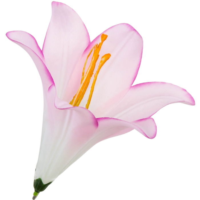 [w0497] Główka kwiatowa lilia 16cm biało-różowa