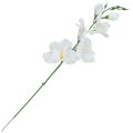 [w0513] Mieczyk satynowy gałązka 54cm biały