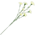 [w0539] Gałązka kwiatowa goździk satynowy 72cm bladożółty