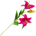 [w0550] Gałązka kwiatowa lilia satynowa 50cm amarantowa