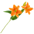 [w0546] Gałązka kwiatowa lilia satynowa 50cm pomarańczowa