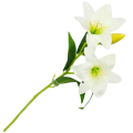 [w0543] Gałązka kwiatowa lilia satynowa 50cm kremowa