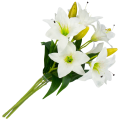 [w0542] Gałązka kwiatowa lilia satynowa 50cm biała