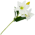 [w0542] Gałązka kwiatowa lilia satynowa 50cm biała