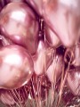 [d0376] Balony lateksowe różowe złoto 10szt