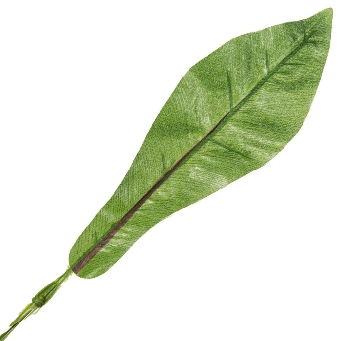 [680503] Liść asplenium zielony 32cm
