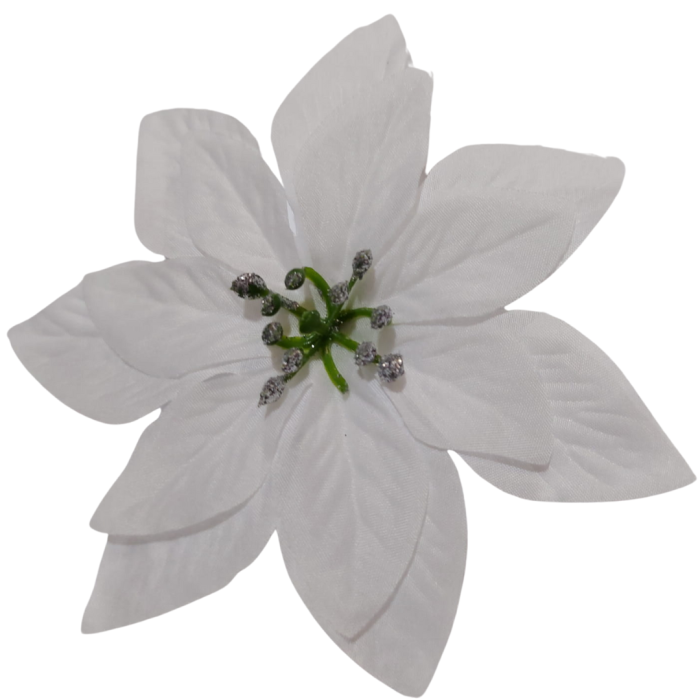 [680508] Poinsecja główka biała 14cm 2szt