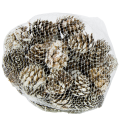 [59047] Szyszki dekoracyjne oszronione 2,5-3,5cm 72szt