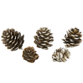 [59047] Szyszki dekoracyjne oszronione 2,5-3,5cm 72szt